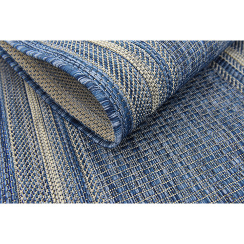 Sol 72 Outdoor™ Delmont Blue Indoor / Outdoor Area Rug & Reviews Wayfair